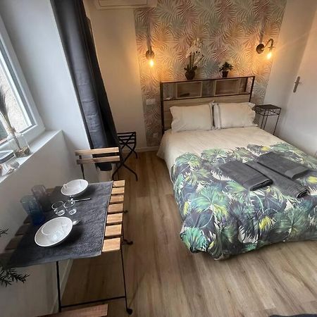 Verdi Studio Cosy Au Calme Parking Gratuit Chasse-sur-Rhone Luaran gambar
